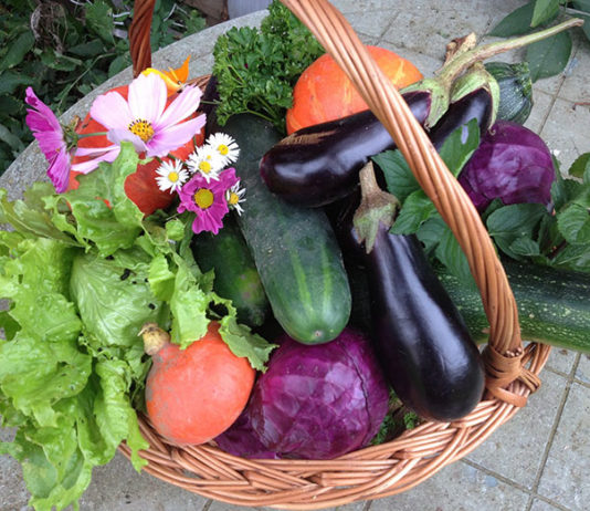 Moda na zdrowy ogród