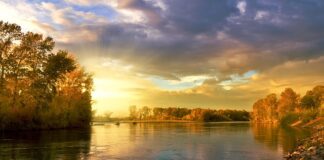 Co oznaczają kolory ubrań lekarzy?