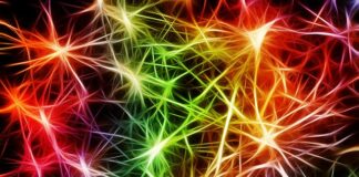 Czy układ nerwowy może się zregenerować?