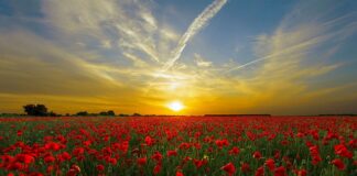 Czy po peelingu twarz jest czerwona? Czy po peelingu twarz jest czerwona?