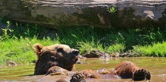 Jak odświeżyć umysł?