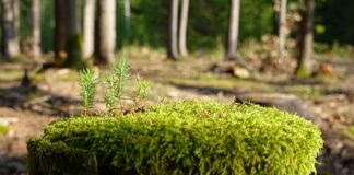 Jak zregenerować swój organizm? Jak zregenerować swój organizm?