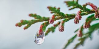 Czy kropelka jest mocna?