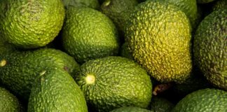 Czy awokado jest dobre na zmarszczki?