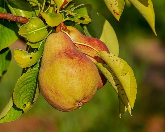 Kiedy odżywka a kiedy maska?