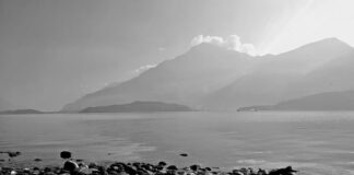 Ile kosztuje pole magnetyczne? Ile kosztuje pole magnetyczne?