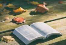 Czy zdrowo jest smażyć na oliwie z oliwek?