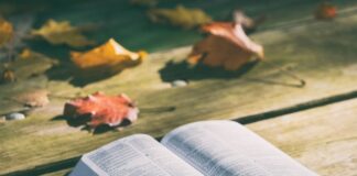 Czy zdrowo jest smażyć na oliwie z oliwek?