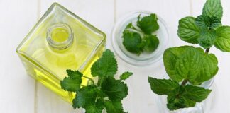 Czym się różni balsam od odżywki do włosów? Czym się różni balsam od odżywki do włosów?