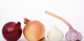 Jak długo trzymać czosnek w uchu? Jak długo trzymać czosnek w uchu?