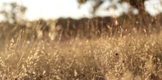 Jakich filtrów unikać?