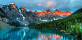 Co rozpuszcza kamień nazębny?