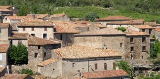 Po co stosuje się ortezy?