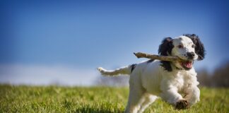 Co zrobić żeby odzyskać pamięć? Co zrobić żeby odzyskać pamięć?