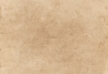 Który papier toaletowy jest najtańszy? Który papier toaletowy jest najtańszy?