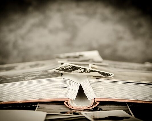 Która część mózgu odpowiada za pamięć?