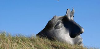 Jak uspokoić układ nerwowy? Jak uspokoić układ nerwowy?