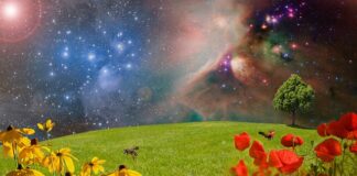 Co po zdjęciu ortezy?