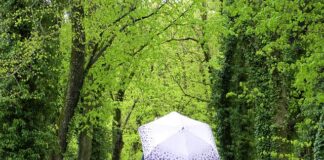 Jak samemu znaleźć źródło wody? Jak samemu znaleźć źródło wody?