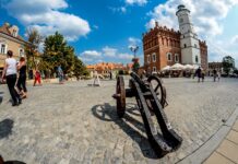 Co to jest działo orgonowe?