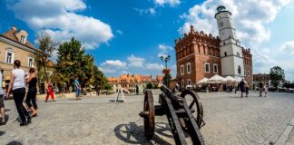 Co to jest działo orgonowe?