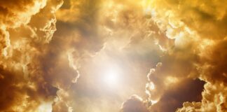 Co wpływa na kształt twarzy?