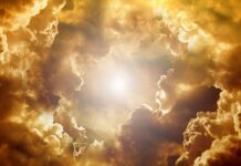 Jaki kształt twarzy jest najładniejszy? Jaki kształt twarzy jest najładniejszy?