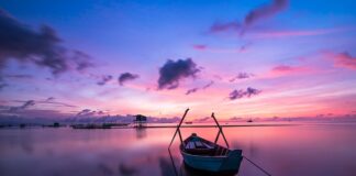 Jaki kolor fartucha ma lekarz?