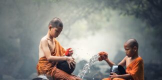 Ile kosztuje czyszczenie uszu?