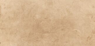 Jaki papier toaletowy wybrać?